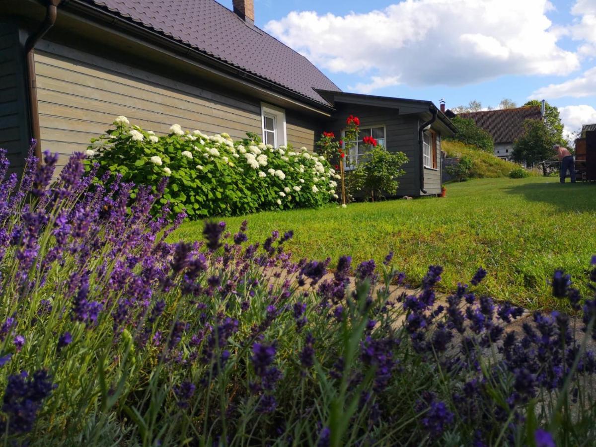 Namins Pie Juras Villa Lapmezciems Exterior photo