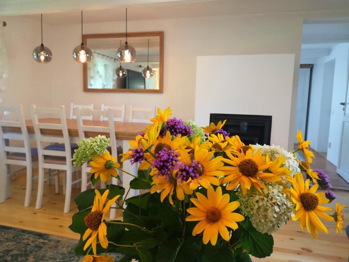 Namins Pie Juras Villa Lapmezciems Exterior photo